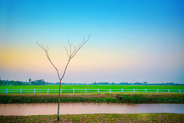 포토 JPG 해외이미지 나무 구름 계절 호수 백그라운드 밭 자연 하늘 풍경 잔디 사람없음 야외 초록색 물 여름 파란색 강 햇빛 태양 반사 일출 정원 일몰 봄 성장 가을 신선 땅 해외202004 해외포토 자연요소 식물 컬러 농업 노을 생태계 파일형식 이미지허브