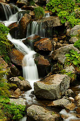 포토 JPG 해외이미지 나무 식물 공원 유럽 여행 잎 자연 풍경 사람없음 야외 목재 초록색 물 강 세계 폭포 젖음 흐름 가을 바위 신선 개울 숲 장면 내추럴 전국 해외202004 해외포토 자연요소 계절 공공시설 나라 컬러 컨셉 재료 돌_바위 생태계 파일형식 이미지허브