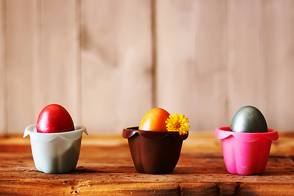 포토 JPG 해외이미지 전통 디자인 계절 꽃 분홍색 탁자 휴가 부활절 이벤트 사람없음 목재 장식 파란색 컬러풀 노란색 계란 축제 봄 축하 직물 코드 시원함 심볼 데이지 양모 해외202004 해외포토 나무 식물 기념일 컬러 가구 컨셉 재료 알 파일형식 이미지허브