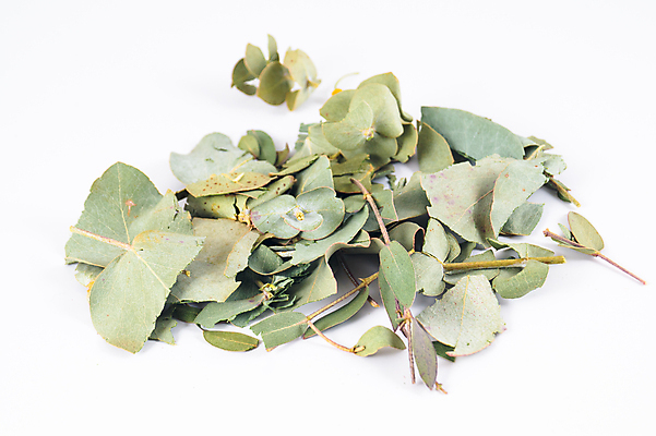 포토 JPG 해외이미지 식물 꽃잎 꽃 분홍색 백그라운드 꽃무늬 오렌지 자연 건조 건강 사람없음 야외 초록색 건강관리 정원 보라색 센터 닫기 정상 허브 묘사 유기농 원예 꽃가루 동쪽 고슴도치 보충 면역력 영원 치유 해외202004 해외포토 웰빙 컬러 무늬 과일 포유류 모션 관리 취미 가루 방향 생태계 파일형식 이미지허브