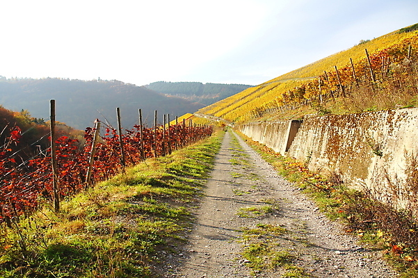 포토 JPG 해외이미지 사람없음 해외202004 해외포토 파일형식 이미지허브