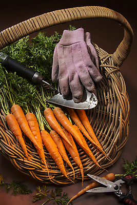 포토 JPG 해외이미지 음식 장갑 농업 채소 손잡이 사람없음 농작물 농가 농장 바구니 주방 정원 당근 성장 모종삽 유기농 원예 밭일 세련 해외202004 해외포토 웰빙 잡화 산업 뿌리채소 취미 삽 파일형식 이미지허브