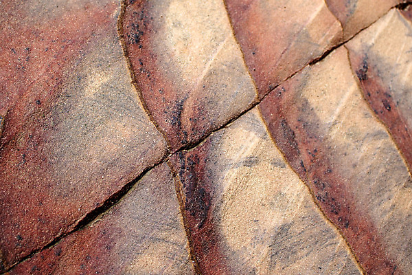 포토 JPG 해외이미지 디자인 벽 분홍색 여행 백그라운드 패턴 곡선 건축양식 자연 추상 사람없음 빨간색 컬러풀 세계 골짜기 사막 탐험 동굴 균열 닫기 중앙 부식 질감 사암 층 동쪽 목각 내추럴 요르단 지질학 해외202004 해외포토 교육 건축 선 컬러 무늬 중동 모션 돌_바위 방향 생태계 파일형식 이미지허브