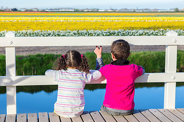 포토 JPG 해외이미지 응시 계절 꽃 어린이 2 밭 휴식 함께함 사람 앉기 사람없음 물 여름 울타리 컬러풀 햇빛 노란색 맑음 기댐 봄 우정 튤립 벚꽃 개화 개울 원예 일시정지 언니 남동생 철책 해외202004 해외포토 자연요소 식물 시선 컬러 컨셉 농업 가족 모션 날씨 취미 친구 담장 강 태양 자매 동생 파일형식 이미지허브