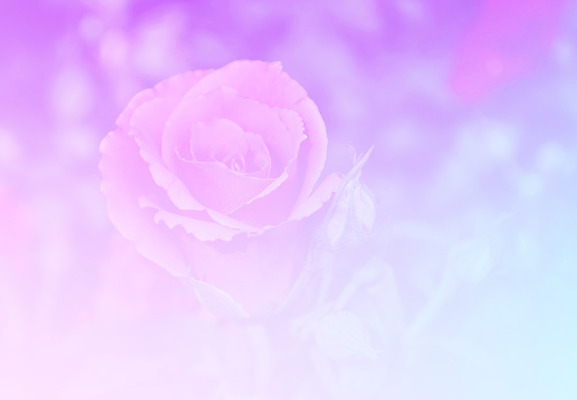 포토 JPG 해외이미지 식물 디자인 꽃 행복 종이 분홍색 꽃다발 결혼 백그라운드 꽃무늬 패턴 자연 추상 발렌타인데이 사랑 미술 사람없음 장식 빨간색 초록색 컬러풀 장미 수확 벚꽃 흰색 축하 인사 신선 신용카드 전시회 질감 부드러움 접수 파스텔톤 해외202004 해외포토 감정 컬러 컨셉 무늬 농업 데이이벤트 문화예술 이벤트 금융 전시 예절 감각 생태계 파일형식 이미지허브