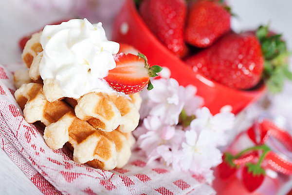 포토 JPG 해외이미지 음식 백그라운드 다이어트 과일 딸기 아침 디저트 사람없음 빨간색 컬러풀 과자 식사 흰색 신선 달콤 아침식사 설탕 크림 벨기에 토핑 칼로리 와플 브뤼셀 페스츄리 휘핑크림 해외202004 해외포토 주간 빵 컬러 건강 맛 서유럽 휘핑 파일형식 이미지허브