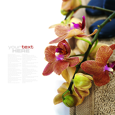 포토 JPG 해외이미지 꽃 사람없음 수건 스파 조약돌 스파용품 카피스페이스 해외포토 식물 위생용품 공백 돌_바위 오브젝트 파일형식 이미지허브