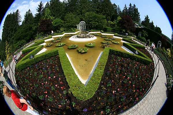 포토 JPG 해외이미지 모양 별 섬 캐나다 영국 사람없음 물 정원 연못 콜롬비아 당구 분수 벤쿠버 해외202004 해외포토 자연요소 유럽 북아메리카 구기 남아메리카 파일형식 이미지허브