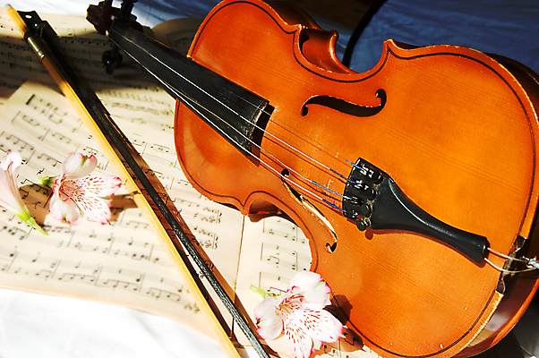 포토 JPG 해외이미지 꽃 사람없음 우아함 바이올린 악보 바이올린활 해외202004 해외포토 식물 음악 컨셉 현악기 파일형식 이미지허브
