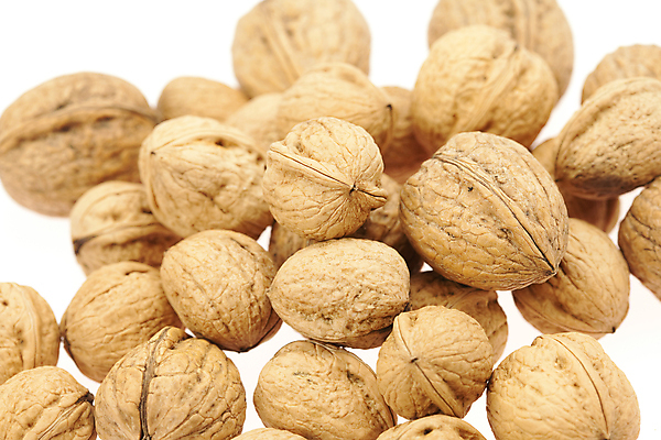 포토 JPG 해외이미지 나무 식물 음식 백그라운드 과일 재료 부분 자연 건조 기술 건강 씨앗 사람없음 목재 갈색 노란색 식사 힘 펼침 견과류 가을 흰색 오픈 원형 자르기 먹기 가득함 오브젝트 날것 호두 개암나무 꼬투리 단절 엘리먼트 여의주 해외202004 해외포토 도형 계절 컬러 모션 생태계 파일형식 이미지허브