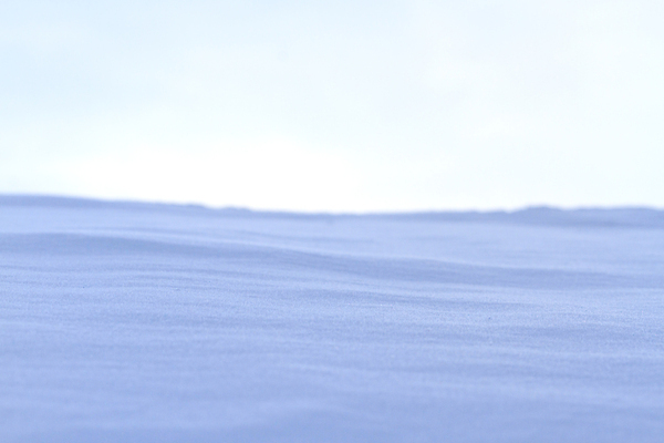 포토 JPG 해외이미지 나무 구름 계절 실루엣 선 백그라운드 이동 겨울 자연 하늘 풍경 사람없음 야외 파란색 빛 햇빛 냉동 얼음 검은색 회색 추위 흰색 나뭇가지 시골 신선 기다림 황무지 황금 보호 은색 크리스탈 오브젝트 장면 지역 자작나무 눈보라 옛날 제설기 줄서기 해외202004 해외포토 자연요소 식물 컬러 컨셉 모션 눈_날씨 촬영기법 태양 광석 생태계 제설 파일형식 이미지허브
