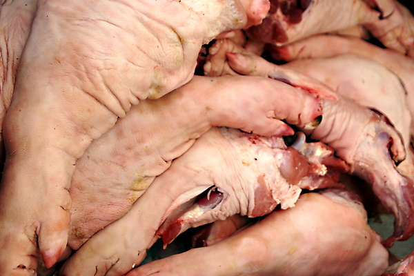 포토 JPG 해외이미지 동물 아시아 음식 백그라운드 신체 재료 자연 뼈 매달리기 건강 육류 돼지고기 요리 비프스테이크 동양인 사람없음 빨간색 세일 식당 식사 신선 시장 바비큐 대만 먹기 피부 햄 날것 캄보디아 고립 단백질 생식 암탉 양발 정육점 해외202004 해외포토 나라 컬러 식재료 모션 스테이크 인종 신체부위 상점 소고기 닭 암컷 생태계 영양소 파일형식 이미지허브