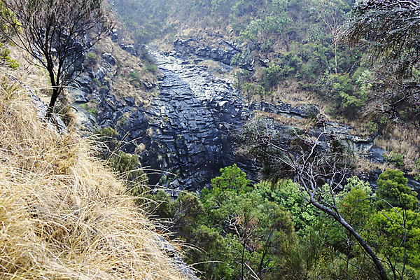 포토 JPG 해외이미지 나무 공원 여행 자연 사람없음 물 폭포 호주 해외202004 해외포토 자연요소 식물 공공시설 오세아니아 생태계 파일형식 이미지허브