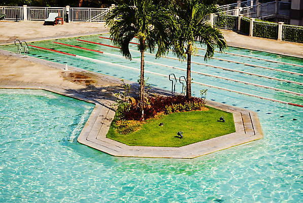 포토 JPG 해외이미지 의자 휴가 휴식 열대 수영장 사람없음 야외 물 야자수 햇빛 태양 고급 조경 열대기후 해외202004 해외포토 자연요소 나무 가구 컨셉 파일형식 이미지허브