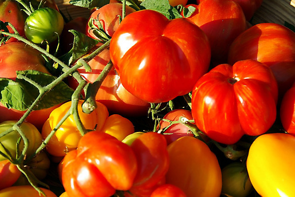 포토 JPG 해외이미지 식물 농업 토마토 재료 사람없음 빨간색 바구니 저녁식사 주스 샐러드 성장 먹기 숙성 해외202004 해외포토 산업 음료 음식 컬러 채소 모션 식사 파일형식 이미지허브