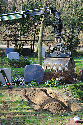 포토 JPG 해외이미지 꽃 사람없음 기계 흙 바위 죽음 묘사 장례 숭배 추모 해외202004 해외포토 식물 돌_바위 파일형식 이미지허브