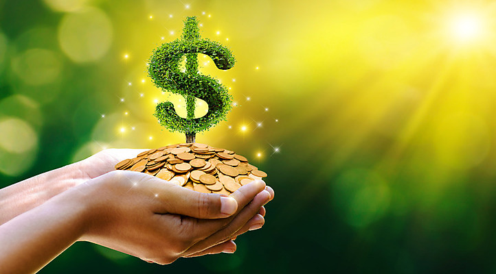 포토 JPG 해외이미지 나무 식물 손 꽃 백그라운드 컨셉 잎 돈 비즈니스 자연 성공 아이디어 사람없음 초록색 금융 경제 쌓기 달러 동전 저축 성장 비즈니스맨 절약 시장 재산 황금 플랫 캔 냄비 주식 심볼 물주기 투자 이익 대출 경영 관심 수입 해외202004 해외포토 남자 컬러 모션 신체부위 직장인 솥 생태계 파일형식 이미지허브