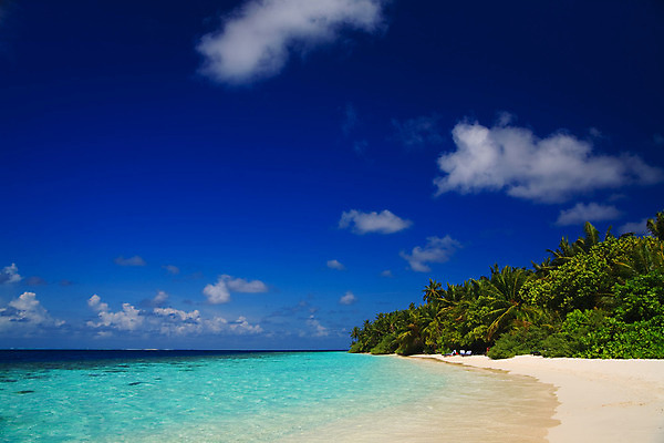 포토 JPG 해외이미지 나무 식물 구름 모래 파도 바다 섬 여행 잎 자연 하늘 휴가 휴식 손바닥 풍경 사람없음 야외 물 여름 파란색 햇빛 태양 여행객 수영 침묵 만 휴양지 장면 태평양 암초 세이셸 석호 몰디브 터키석 수평선 해외202004 해외포토 자연요소 손 계절 아시아 컬러 컨셉 아프리카 사람 소리 장소 수상스포츠 보석 생태계 파일형식 이미지허브