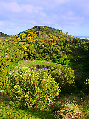 포토 JPG 해외이미지 식물 구름 공원 야생동물 여행 자연 풍경 사람없음 야외 물 환경 탑 침묵 게임 연못 황무지 호주 숲 당구 언덕 화산 장면 지역 분화구 서식지 내추럴 생태학 전국 해외202004 해외포토 자연요소 동물 건축물 공공시설 교육 놀이 산 구기 소리 오세아니아 생태계 파일형식 이미지허브