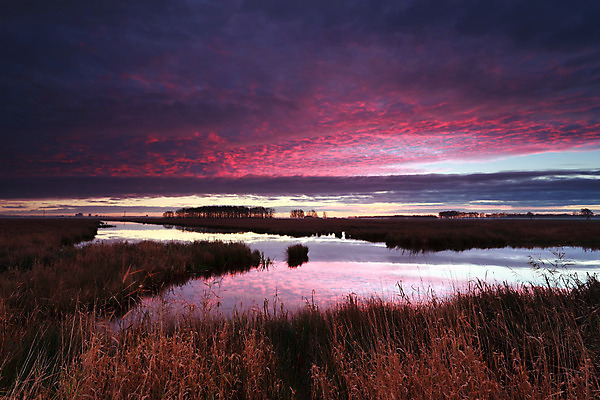 포토 JPG 해외이미지 구름 호수 분홍색 백그라운드 자연 하늘 표면 아침 풍경 사람없음 야외 빨간색 물 파란색 강 반사 일출 보라색 침묵 시골 제비꽃 네덜란드 해외202004 해외포토 주간 자연요소 꽃 유럽 컬러 노을 소리 생태계 파일형식 이미지허브