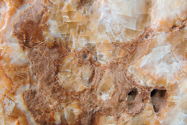 포토 JPG 해외이미지 조각 백그라운드 패턴 건축양식 자연 표면 추상 바닥 사람없음 내부 갈색 수확 골동품 도자기 동굴 매끈함 그늘 크리스탈 타일 묘사 질감 대리석 사암 내추럴 고체 석회암 종유석 지질학 화강암 해외202004 해외포토 교육 건축 컬러 무늬 농업 재료 암석 돌_바위 감각 광석 생태계 파일형식 이미지허브