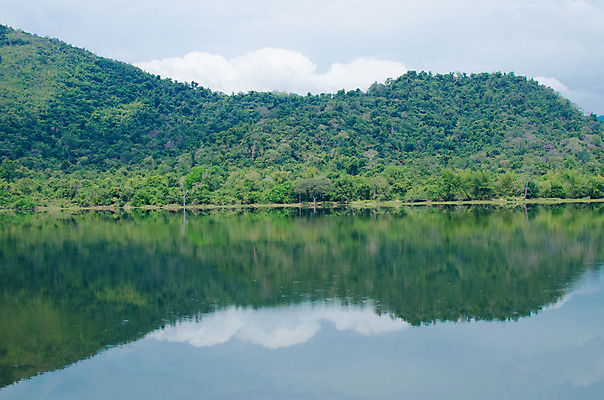포토 JPG 해외이미지 나무 계절 공원 호수 여행 백그라운드 자연 하늘 아침 휴식 산 풍경 사람없음 야외 목재 초록색 물 여름 파란색 강 컬러풀 햇빛 반사 평화 환경 숲 내추럴 해외202004 해외포토 주간 자연요소 식물 공공시설 컬러 컨셉 재료 태양 생태계 파일형식 이미지허브