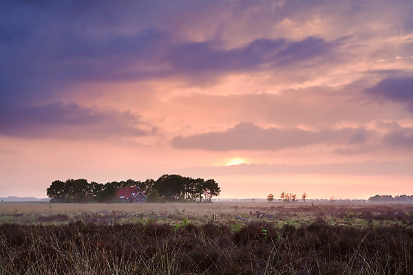 포토 JPG 해외이미지 나무 구름 분홍색 오렌지 자연 하늘 주택 풍경 사람없음 야외 건물 파란색 햇빛 태양 일출 침묵 고요 황혼 일몰 젖음 안개 시골 습지 네덜란드 변소 평야 수평선 해외202004 해외포토 자연요소 식물 건축물 유럽 컬러 과일 날씨 노을 소리 생태계 파일형식 이미지허브