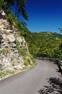 포토 JPG 해외이미지 나무 계절 도로 길 여행 잎 밭 곡선 교통시설 자동차 자연 하늘 산 거리 풍경 사람없음 야외 초록색 여름 파란색 운전 시골 고속도로 숲 아스팔트 땅 방향 언덕 내추럴 굴곡 길가 방법 해외202004 해외포토 식물 선 육상교통 컬러 교통 농업 모션 시설 생태계 파일형식 이미지허브