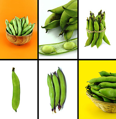 포토 JPG 해외이미지 디자인 포스터 음식 백그라운드 농업 다이어트 채소 과일 자연 탁자 추상 콩 건강 요리 사람없음 여름 쇼핑 농장 꼬리표 주방 흰색 시골 신선 발표 시장 농부 가격 메뉴 유기농 박 레시피 칼로리 이익 내추럴 꼬투리 단백질 숙성 채식주의자 카피스페이스 해외202004 해외포토 직업 웰빙 계절 산업 컬러 가구 무늬 곡류 라벨 공백 생태계 채식 영양소 파일형식 이미지허브