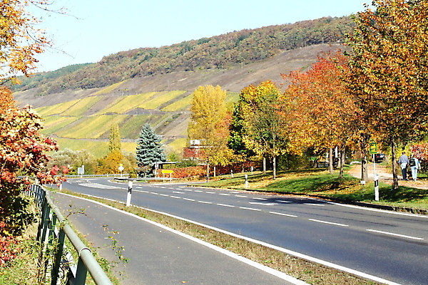 포토 JPG 해외이미지 거리 풍경 사람없음 가을 아스팔트 B 해외202004 해외포토 알파벳 계절 도로 파일형식 이미지허브