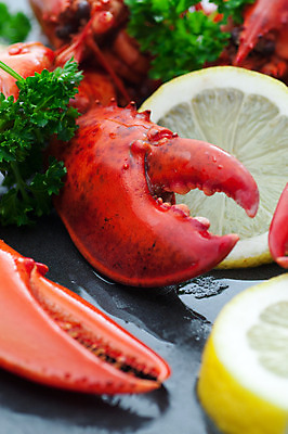 포토 JPG 해외이미지 음식 파슬리 요리 사람없음 닫기 바닷가재 레몬 해산물 준비 집게발 해외202004 해외포토 채소 과일 모션 가재 파일형식 이미지허브