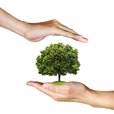 포토 JPG 해외이미지 식물 손 디자인 백그라운드 잎 자연 미래 손바닥 사람 사람없음 장식 초록색 환경 자녀 화려 보호 오브젝트 에코 생태계 세대 유지 개발 돌봄 생태학 해외202004 해외포토 교육 컬러 컨셉 모션 신체부위 파일형식 이미지허브
