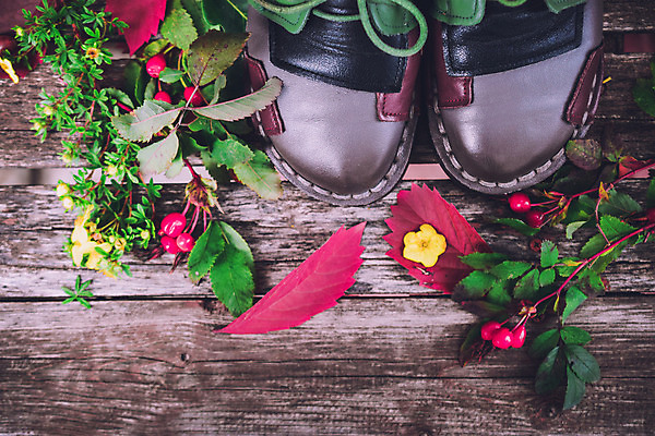 포토 JPG 해외이미지 식물 계절 공원 열매 꽃 신발 잎 벤치 과일 자연 포도 사람없음 빨간색 초록색 여름 장미 정원 봄 산책 벚꽃 가을 숲 9월 11월 시골집 도토리 10월 정물화 해외202004 해외포토 공공시설 컬러 의자 휴식 주택 견과류 날짜 그림 생태계 파일형식 이미지허브