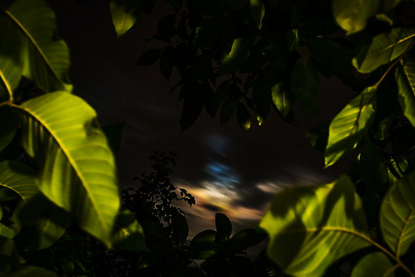 포토 JPG 해외이미지 구름 별 선 백그라운드 자연 하늘 추상 산 사람없음 야외 파란색 빛 평화 마을 환경 검은색 어둠 침묵 달 나뭇가지 시골 죽음 신선 면 분위기 야간 옥상 가득함 묘사 순환 대머리 궤도 내추럴 벌거벗은 오존 해외202004 해외포토 자연요소 나무 헤어스타일 컬러 컨셉 무늬 모션 소리 생태계 파일형식 이미지허브