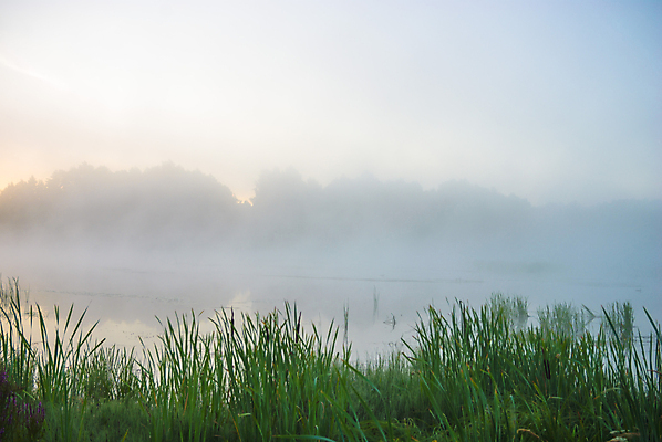 포토 JPG 해외이미지 나무 식물 구름 계절 공원 호수 여행 백그라운드 잎 자연 하늘 풍경 사람없음 야외 목재 초록색 물 여름 파란색 빛 강 컬러풀 햇빛 태양 반사 환경 봄 흐름 안개 가을 바위 흰색 시골 신선 개울 숲 장면 내추럴 뿌연 생태학 해외202004 해외포토 자연요소 공공시설 교육 컬러 컨셉 재료 날씨 돌_바위 생태계 파일형식 이미지허브