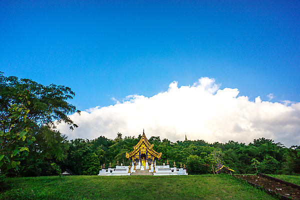 포토 JPG 해외이미지 나무 식물 구름 지구 백그라운드 잎 밭 불교 태국 자연 벽지 하늘 산 풍경 사람없음 야외 초록색 여름 파란색 정원 맑음 시골 신선 사찰 작음 해외202004 해외포토 자연요소 계절 아시아 종교 컬러 농업 종교건축 날씨 크기 생태계 파일형식 이미지허브