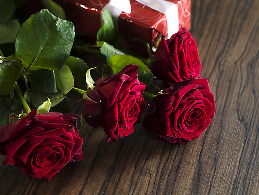 포토 JPG 해외이미지 발렌타인데이 사람없음 빨간색 선물상자 장미 오브젝트 나무배경 해외포토 꽃 컬러 백그라운드 데이이벤트 선물 상자 파일형식 이미지허브