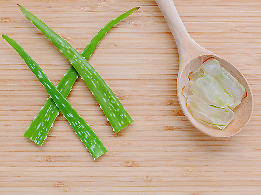 포토 JPG 해외이미지 식물 줄기 부분 자연 사람없음 초록색 뷰티 숟가락 알로에 알로에베라 해외202004 해외포토 컬러 수저 생태계 파일형식 이미지허브