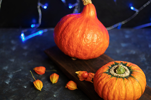 포토 JPG 해외이미지 계절 음식 줄기 농업 채소 오렌지 과일 호박 휴가 사람없음 장식 노란색 할로윈 수확 가을 흰색 신선 박 추수감사절 스쿼시 10월 고립 숙성 해외202004 해외포토 식물 산업 기독교 스포츠 컬러 구기 날짜 파일형식 이미지허브