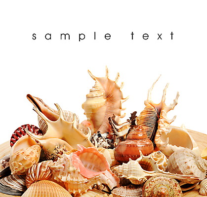 포토 JPG 해외이미지 디자인 별 모래 파도 바다 백그라운드 컨셉 곡선 자연 휴가 조개 사람없음 야외 여름 컬러풀 환경 껍질 선택 수집 배열 묘사 질감 모음 내추럴 고립 생태학 이국적 파라다이스 많음 해외202004 해외포토 자연요소 계절 교육 선 컬러 어패류 생태계 파일형식 이미지허브