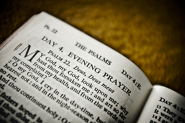 포토 JPG 해외이미지 전통 기독교 종교 종이 텍스트 사랑 사람없음 책 스터디 독서 교회 평화 믿음 성경 침묵 수확 골동품 기도 오픈 영혼 역사 저녁 무릎꿇기 읽기 복고 문학 증거 페이지 신성 천국 시들음 신앙심 옛날 필터 해외202004 해외포토 감정 컨셉 농업 종교용품 종교건축 모션 건물 학습 소리 야간 파일형식 이미지허브