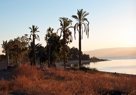 포토 JPG 해외이미지 동물 공원 여행 밭 농업 자연 하늘 산 사람 풍경 사람없음 야외 가로 초록색 농작물 평화 계곡 침묵 관찰 거친 중앙 위험 충돌 밀 조경 장면 지역 북쪽 동쪽 시리아 이스라엘 전국 해외202004 해외포토 공공시설 산업 컬러 컨셉 중동 모션 곡류 소리 방향 생태계 서아시아 파일형식 이미지허브