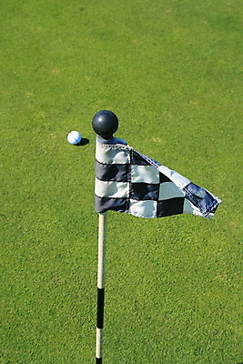 포토 JPG 해외이미지 식물 1 스포츠 골프 비즈니스 공 자연 표면 골프공 잔디 사람없음 초록색 경쟁 카펫 깃발 우승 구멍 플랫 골퍼 강의 자르기 싱크대 클럽 질감 심플 독수리 슛 먼지 점수 골 넣기 땅바닥 스트라이크 승자 토너먼트 해외202004 해외포토 컬러 컨셉 모션 조류 운동선수 골프용품 바닥 구기 최고 개수대 생태계 파일형식 이미지허브