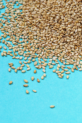 포토 JPG 해외이미지 음료 음식 백그라운드 농업 채소 재료 해바라기 콩 건조 건강 옥수수 씨앗 동양인 사람없음 농작물 갈색 노란색 쌓기 검은색 축제 흰색 고명 양념 조미료 낟알 인도인 시리얼 허브 향신료 유기농 날것 아로마 깨 섬유 흙더미 내추럴 꼬투리 수수 아마 채식주의자 귀리 해외202004 해외포토 외국인 식물 웰빙 꽃 산업 컬러 식재료 모션 곡류 인종 흙 직물 채식 향미료 파일형식 더미 이미지허브