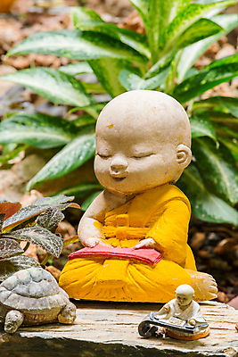 포토 JPG 해외이미지 행복 선 잎 자연 아이디어 앉기 사람없음 빨간색 초록색 빛 스터디 햇빛 갈색 노란색 환자 흰색 마음 거북이 승려 명상 질감 내추럴 해외202004 해외포토 식물 감정 컬러 컨셉 의학 파충류 모션 학습 태양 성직자 생태계 파일형식 이미지허브