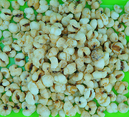 포토 JPG 해외이미지 아시아 음식 건강 요리 씨앗 동양인 사람없음 힘 낟알 시리얼 먹기 눈물 보리 해외202004 해외포토 식물 감정 나라 모션 곡류 인종 파일형식 이미지허브