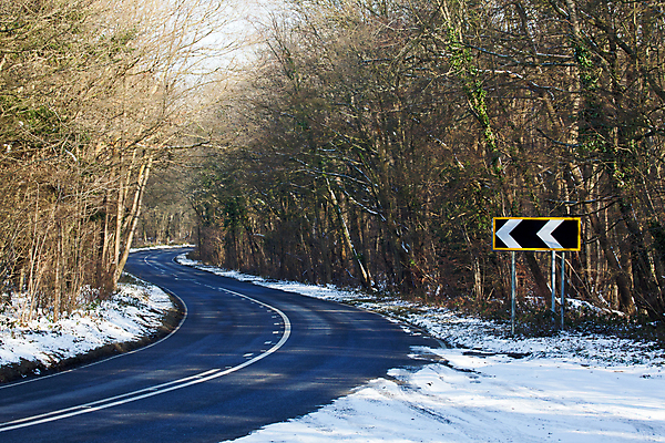 포토 JPG 해외이미지 나무 도로 숙이기 경고 안전 사람없음 얼음 정보 보행로 위험 방향 왼쪽 사인 속도 느림 돌봄 해외202004 해외포토 자연요소 식물 길 포즈 컨셉 교통시설 모션 파일형식 이미지허브