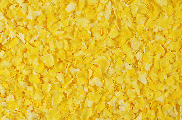 포토 JPG 해외이미지 백그라운드 건조 옥수수 사람없음 노란색 식사 상품 시리얼 해외202004 해외포토 음식 컬러 곡류 파일형식 이미지허브