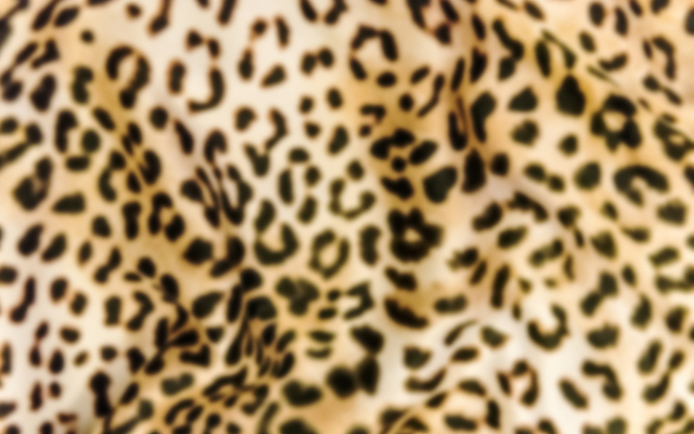 포토 JPG 해외이미지 디자인 옷 스포츠 백그라운드 패턴 벽지 표면 추상 미술 사람없음 장식 파란색 유행 견본 검은색 어둠 줄무늬 회색 흰색 직물 면 거친 소프트포커스 삼베 묘사 질감 보케 캔버스 섬유 짜임 내추럴 양모 스타일 해외202004 해외포토 컬러 무늬 문화예술 촬영기법 파일형식 천_직물 이미지허브