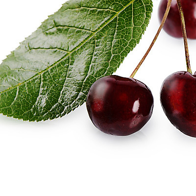 포토 JPG 해외이미지 열매 음식 줄기 백그라운드 잎 농업 다이어트 과일 재료 자연 디저트 건강 사람없음 빨간색 초록색 여름 정원 보라색 검은색 흰색 신선 체리 그룹 달콤 맛 오브젝트 상쾌 유기농 날것 부드러움 내추럴 고립 숙성 채식주의자 해외202004 해외포토 식물 웰빙 계절 감정 산업 컬러 컨셉 감각 생태계 채식 파일형식 이미지허브